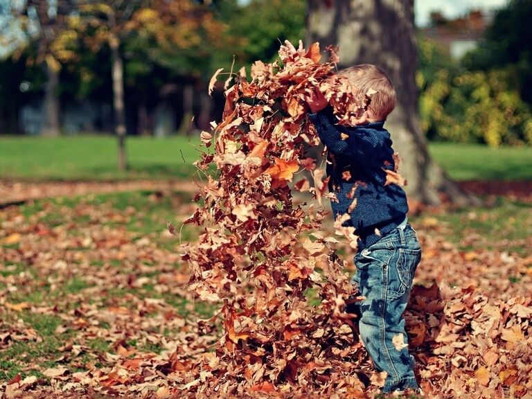 Kind spielt im Herbstlaub
