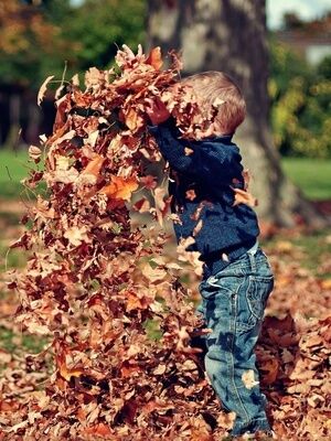 Kind spielt im Herbstlaub