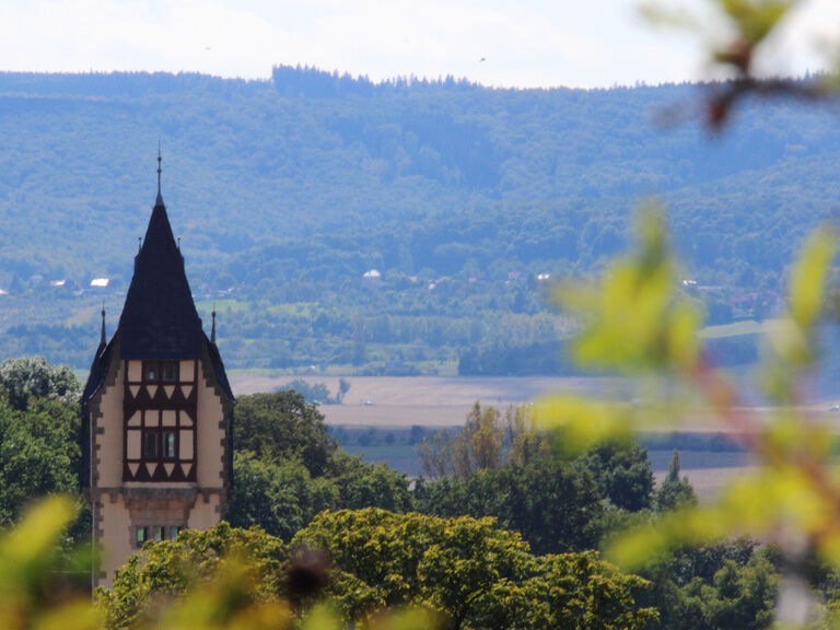 Harz Panorama