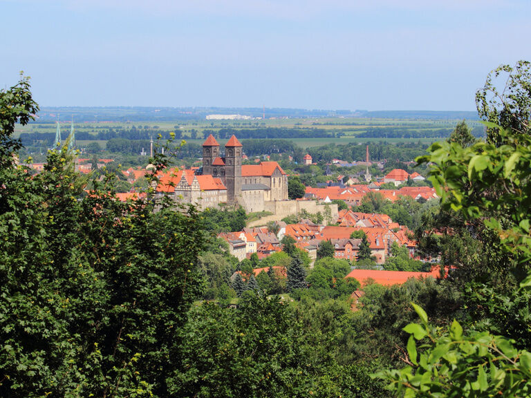 Quedlinburg von Oben