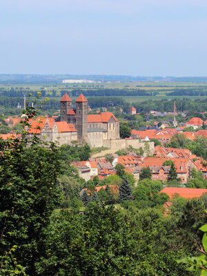 Quedlinburg von Oben