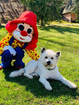 Familotel Maskottchen Happy mit Hund