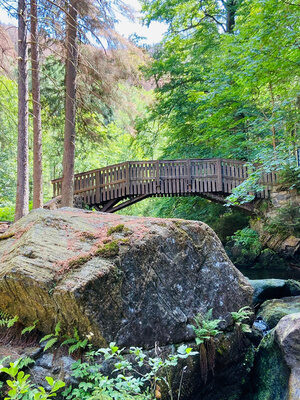 Waldlandschaft mit großen Felsen im Harz, umgeben von Bäumen