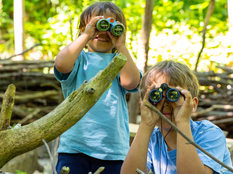 Kinder erkunden den Wald mit einem Fernglas
