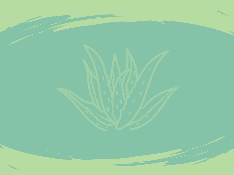 Verwöhnbehandlung mit Aloe Vera im Spa