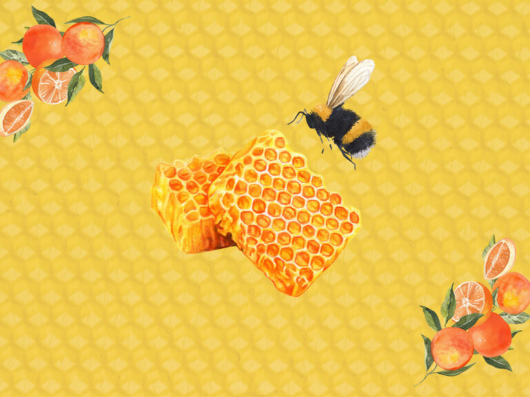 Wellnessanwendung mit Bienenwachs im Family Club Harz